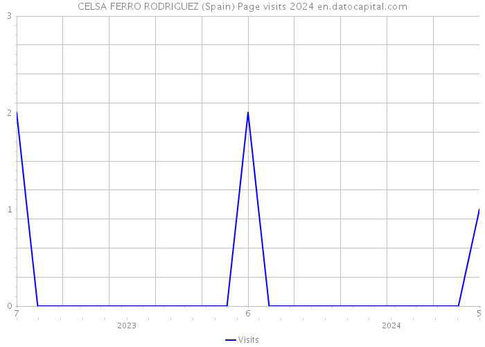 CELSA FERRO RODRIGUEZ (Spain) Page visits 2024 