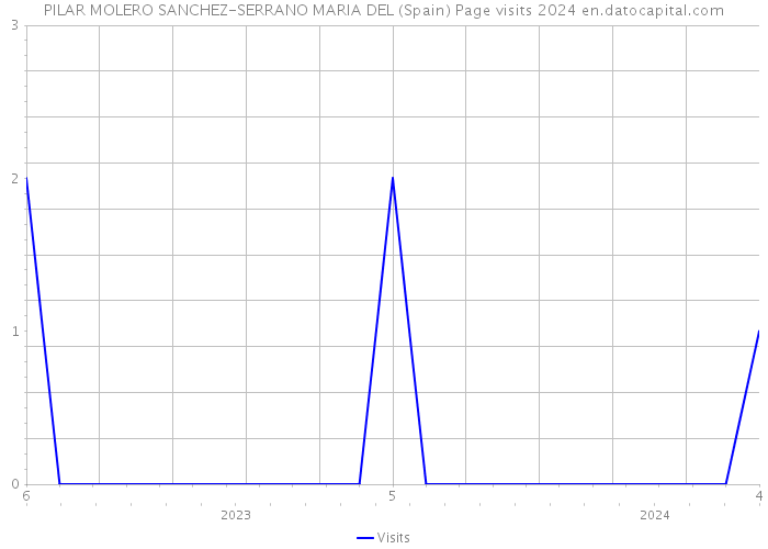 PILAR MOLERO SANCHEZ-SERRANO MARIA DEL (Spain) Page visits 2024 