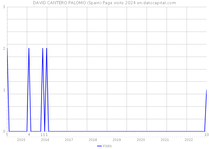 DAVID CANTERO PALOMO (Spain) Page visits 2024 