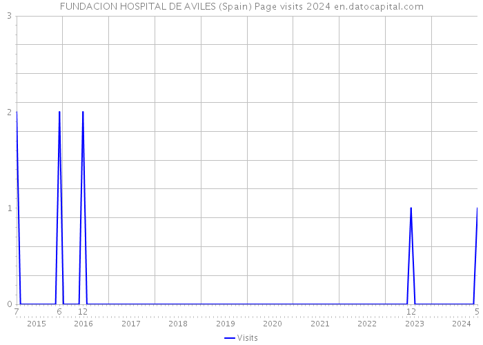 FUNDACION HOSPITAL DE AVILES (Spain) Page visits 2024 