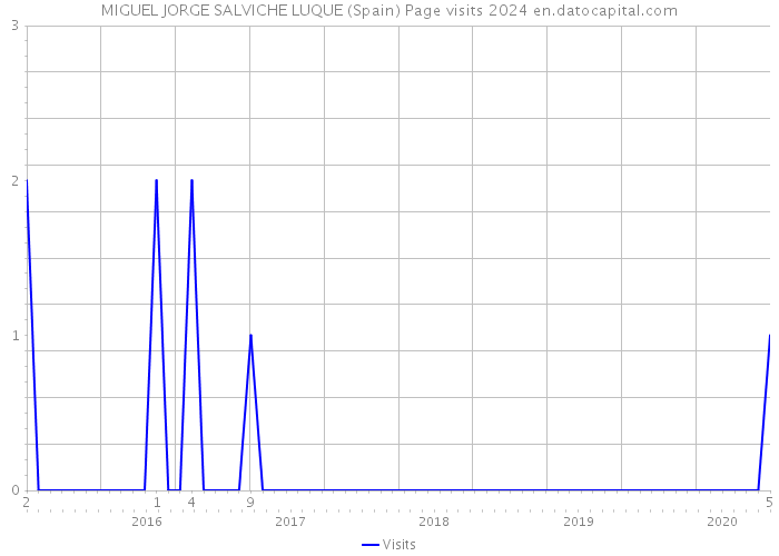 MIGUEL JORGE SALVICHE LUQUE (Spain) Page visits 2024 