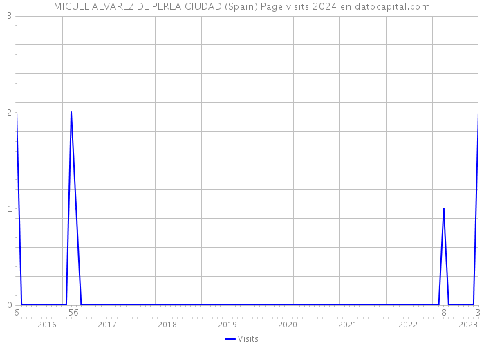 MIGUEL ALVAREZ DE PEREA CIUDAD (Spain) Page visits 2024 