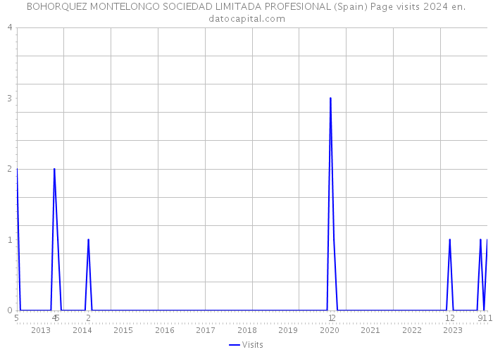 BOHORQUEZ MONTELONGO SOCIEDAD LIMITADA PROFESIONAL (Spain) Page visits 2024 