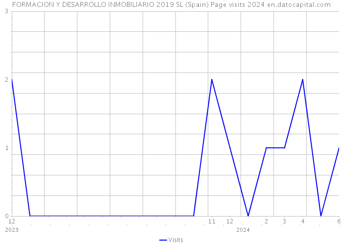 FORMACION Y DESARROLLO INMOBILIARIO 2019 SL (Spain) Page visits 2024 