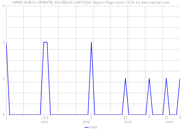 HIPER NUEVO ORIENTE, SOCIEDAD LIMITADA (Spain) Page visits 2024 