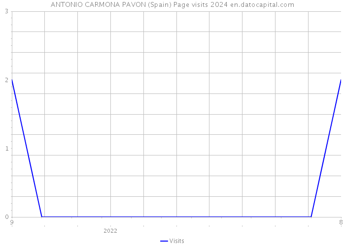 ANTONIO CARMONA PAVON (Spain) Page visits 2024 