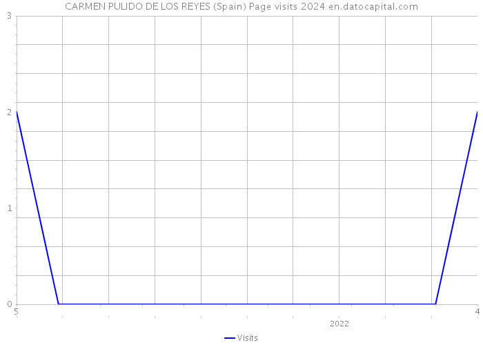 CARMEN PULIDO DE LOS REYES (Spain) Page visits 2024 