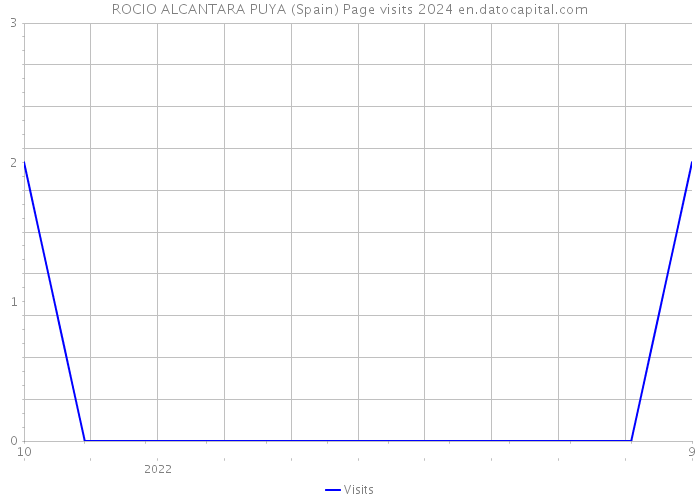 ROCIO ALCANTARA PUYA (Spain) Page visits 2024 