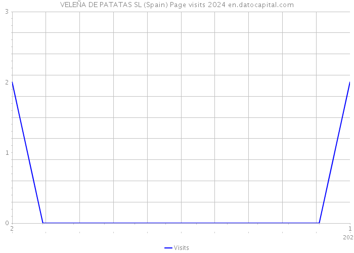 VELEÑA DE PATATAS SL (Spain) Page visits 2024 