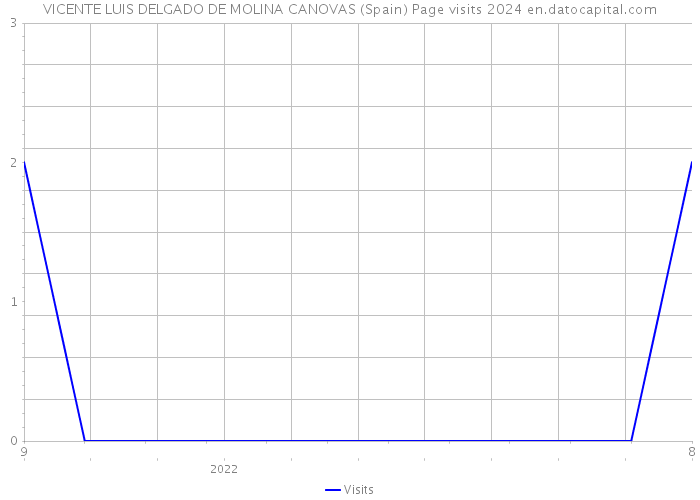 VICENTE LUIS DELGADO DE MOLINA CANOVAS (Spain) Page visits 2024 