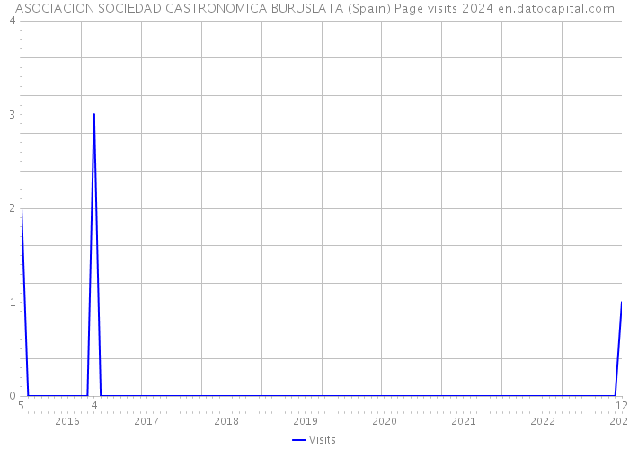 ASOCIACION SOCIEDAD GASTRONOMICA BURUSLATA (Spain) Page visits 2024 