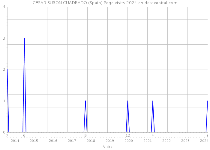 CESAR BURON CUADRADO (Spain) Page visits 2024 