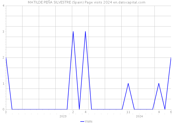 MATILDE PEÑA SILVESTRE (Spain) Page visits 2024 