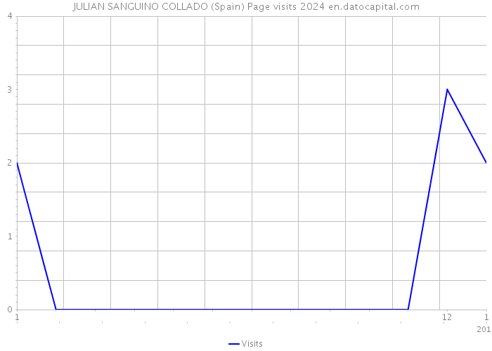 JULIAN SANGUINO COLLADO (Spain) Page visits 2024 
