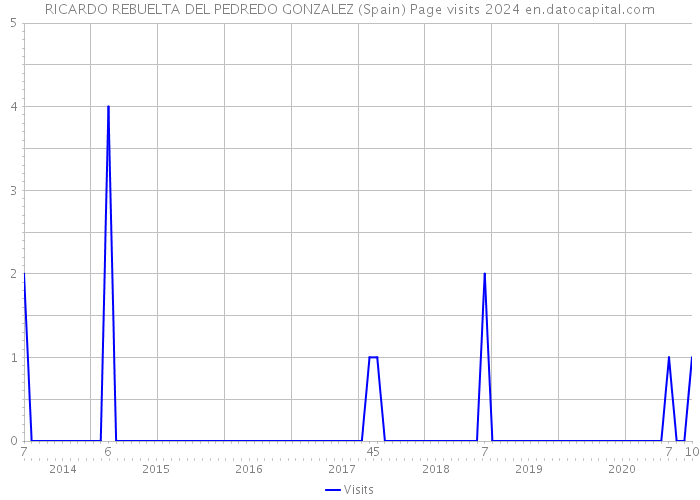 RICARDO REBUELTA DEL PEDREDO GONZALEZ (Spain) Page visits 2024 