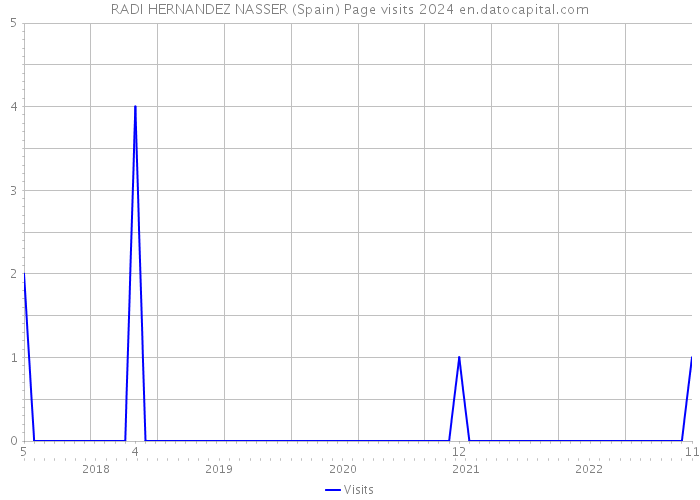 RADI HERNANDEZ NASSER (Spain) Page visits 2024 