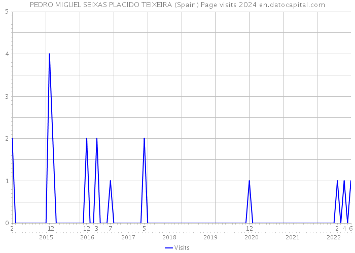 PEDRO MIGUEL SEIXAS PLACIDO TEIXEIRA (Spain) Page visits 2024 