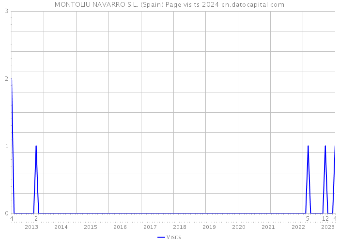 MONTOLIU NAVARRO S.L. (Spain) Page visits 2024 