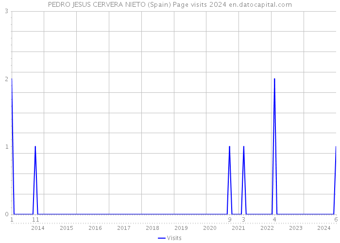 PEDRO JESUS CERVERA NIETO (Spain) Page visits 2024 