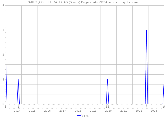 PABLO JOSE BEL RAFECAS (Spain) Page visits 2024 