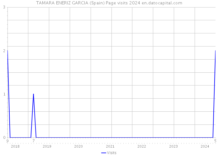 TAMARA ENERIZ GARCIA (Spain) Page visits 2024 