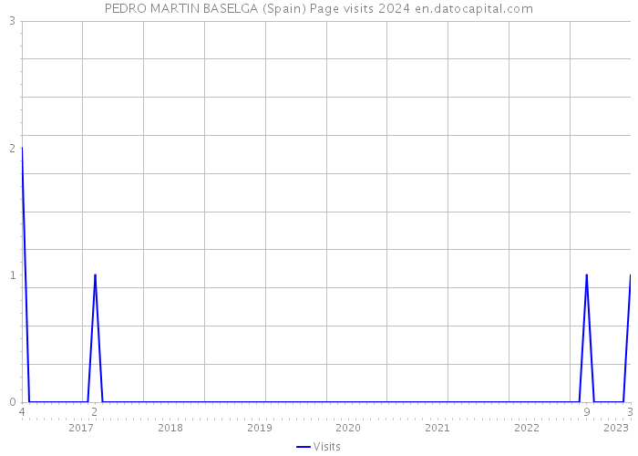 PEDRO MARTIN BASELGA (Spain) Page visits 2024 