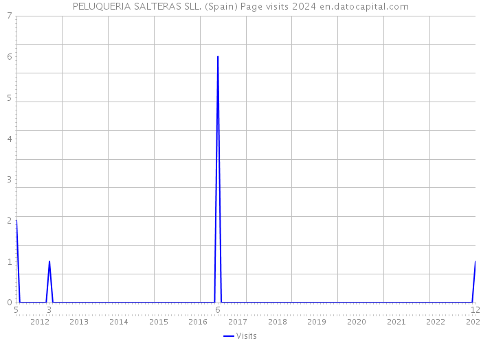 PELUQUERIA SALTERAS SLL. (Spain) Page visits 2024 