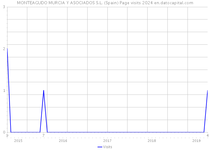 MONTEAGUDO MURCIA Y ASOCIADOS S.L. (Spain) Page visits 2024 