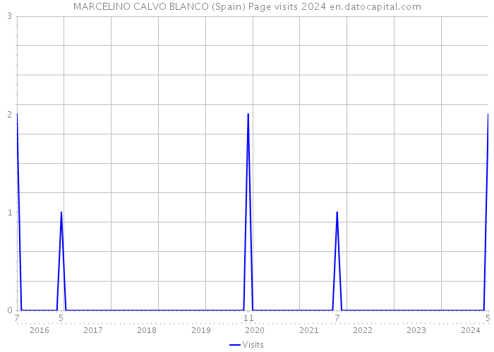 MARCELINO CALVO BLANCO (Spain) Page visits 2024 