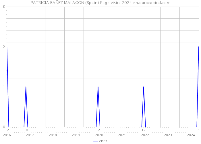 PATRICIA BAÑEZ MALAGON (Spain) Page visits 2024 