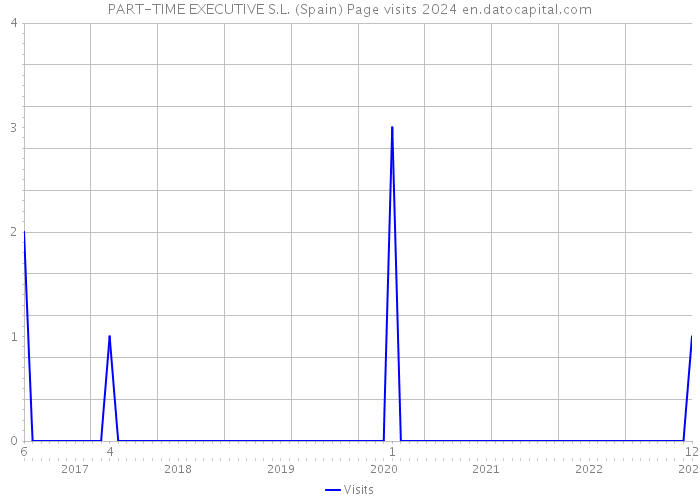 PART-TIME EXECUTIVE S.L. (Spain) Page visits 2024 