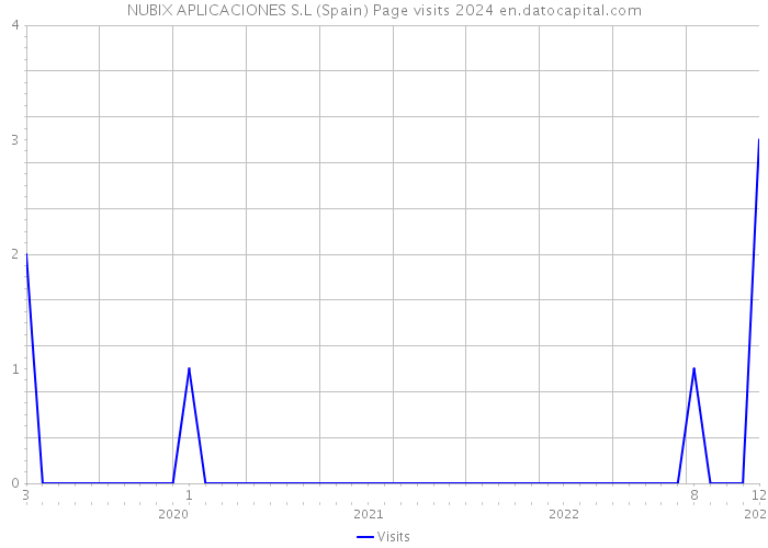 NUBIX APLICACIONES S.L (Spain) Page visits 2024 