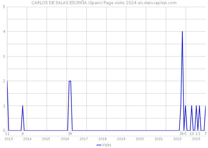 CARLOS DE SALAS ESCRIÑA (Spain) Page visits 2024 