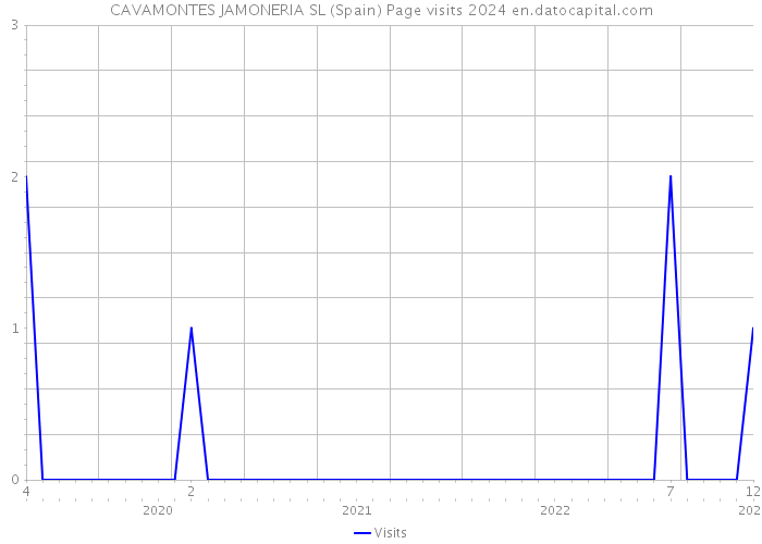CAVAMONTES JAMONERIA SL (Spain) Page visits 2024 