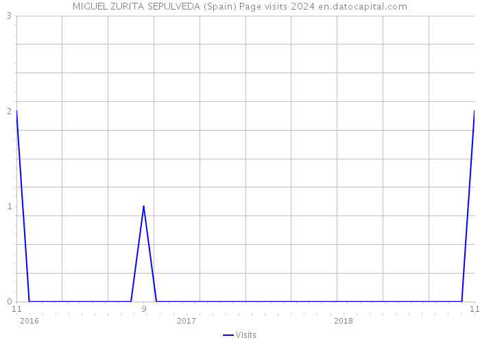 MIGUEL ZURITA SEPULVEDA (Spain) Page visits 2024 