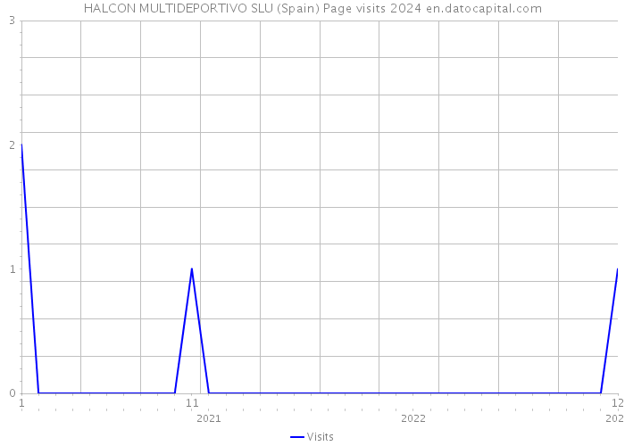 HALCON MULTIDEPORTIVO SLU (Spain) Page visits 2024 