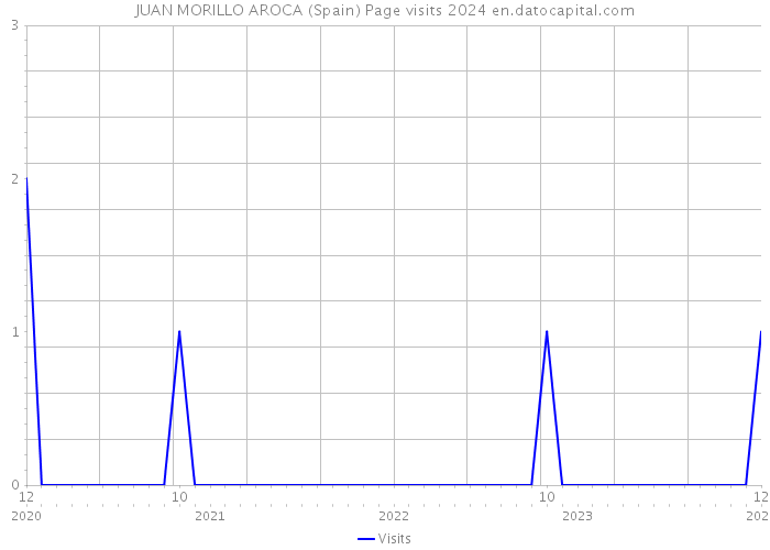 JUAN MORILLO AROCA (Spain) Page visits 2024 