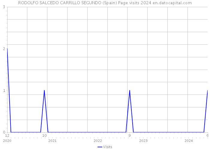 RODOLFO SALCEDO CARRILLO SEGUNDO (Spain) Page visits 2024 