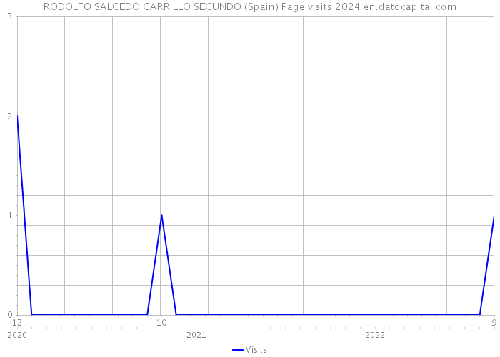 RODOLFO SALCEDO CARRILLO SEGUNDO (Spain) Page visits 2024 