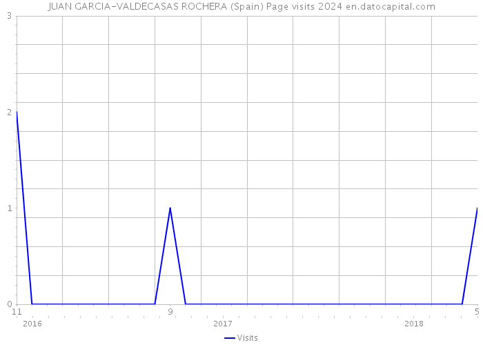 JUAN GARCIA-VALDECASAS ROCHERA (Spain) Page visits 2024 