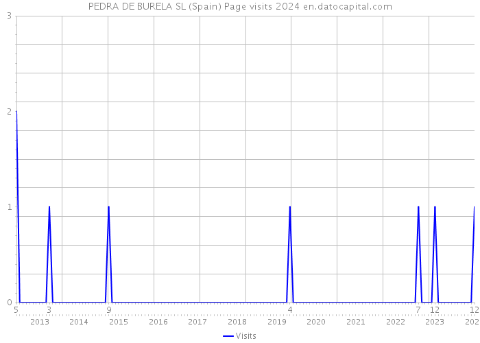 PEDRA DE BURELA SL (Spain) Page visits 2024 