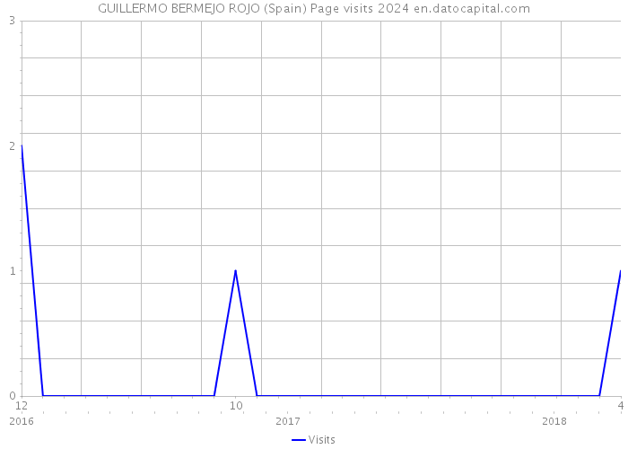 GUILLERMO BERMEJO ROJO (Spain) Page visits 2024 