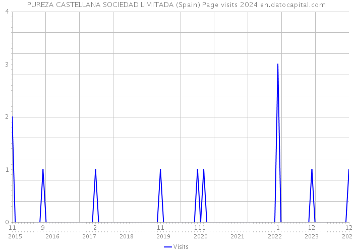 PUREZA CASTELLANA SOCIEDAD LIMITADA (Spain) Page visits 2024 