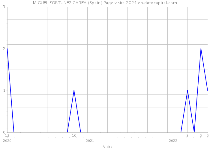 MIGUEL FORTUNEZ GAREA (Spain) Page visits 2024 