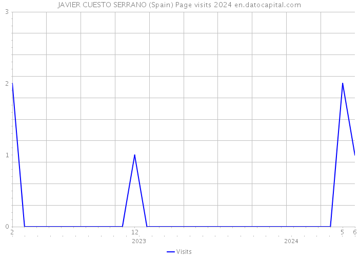 JAVIER CUESTO SERRANO (Spain) Page visits 2024 