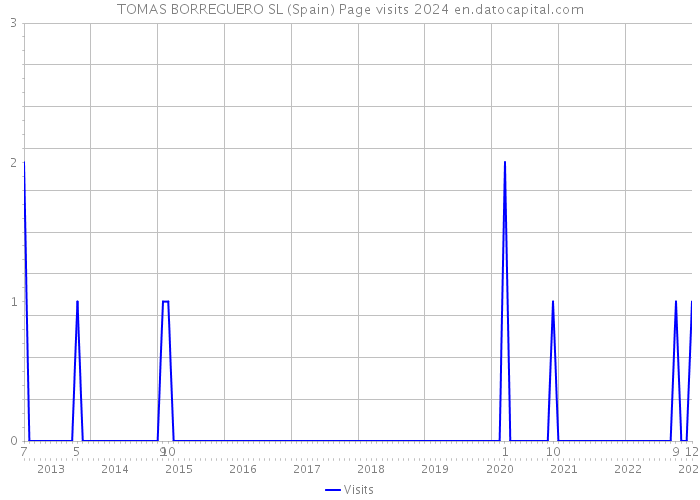 TOMAS BORREGUERO SL (Spain) Page visits 2024 
