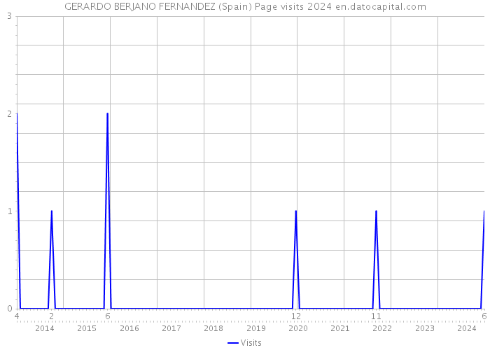 GERARDO BERJANO FERNANDEZ (Spain) Page visits 2024 