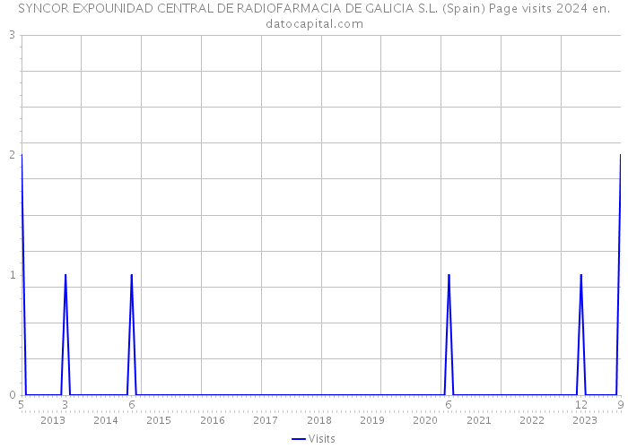 SYNCOR EXPOUNIDAD CENTRAL DE RADIOFARMACIA DE GALICIA S.L. (Spain) Page visits 2024 