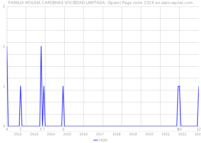 FAMILIA MOLINA CARDENAS SOCIEDAD LIMITADA. (Spain) Page visits 2024 