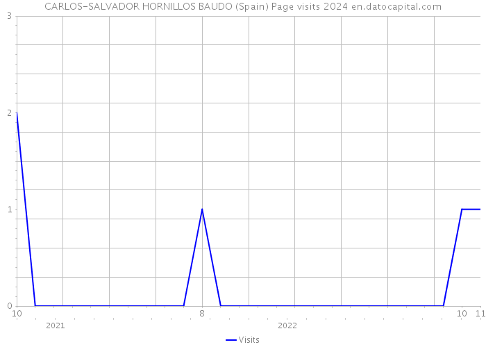 CARLOS-SALVADOR HORNILLOS BAUDO (Spain) Page visits 2024 